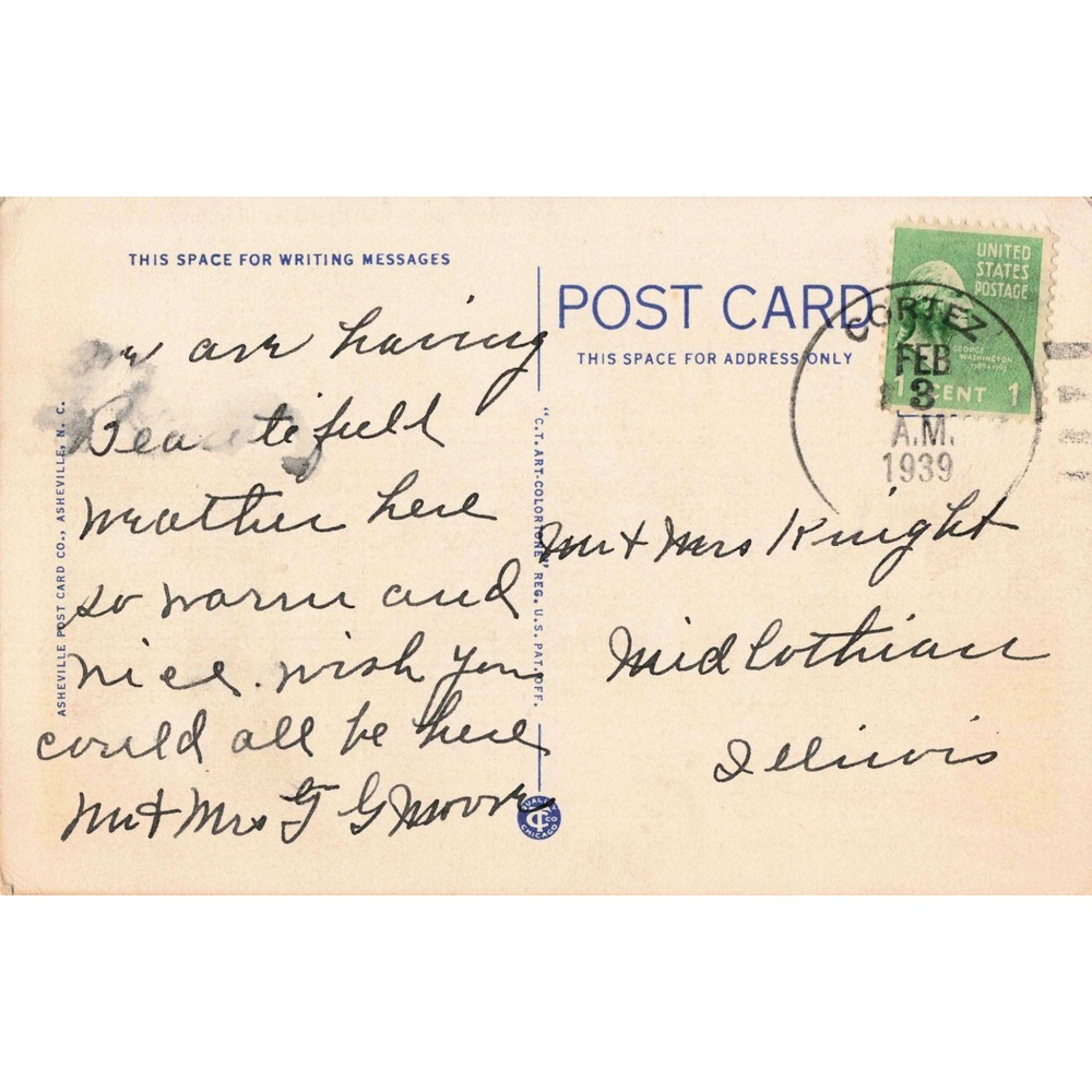 Vintage 1939 Florida Oleanders and Petunias in Bloom Linen Postcard 825 3A-H862 - Picture 2 of 2